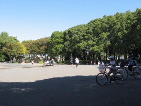 画像19